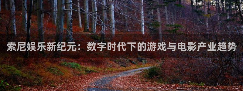 天狮娱乐