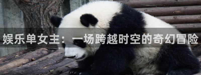 天狮娱乐